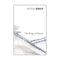 Rings of Saturn