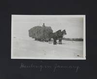 Photographs of Sleepy Hollow Farm Birdsview, South Dakota [manuscript cover title]