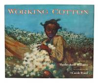 Working Cotton