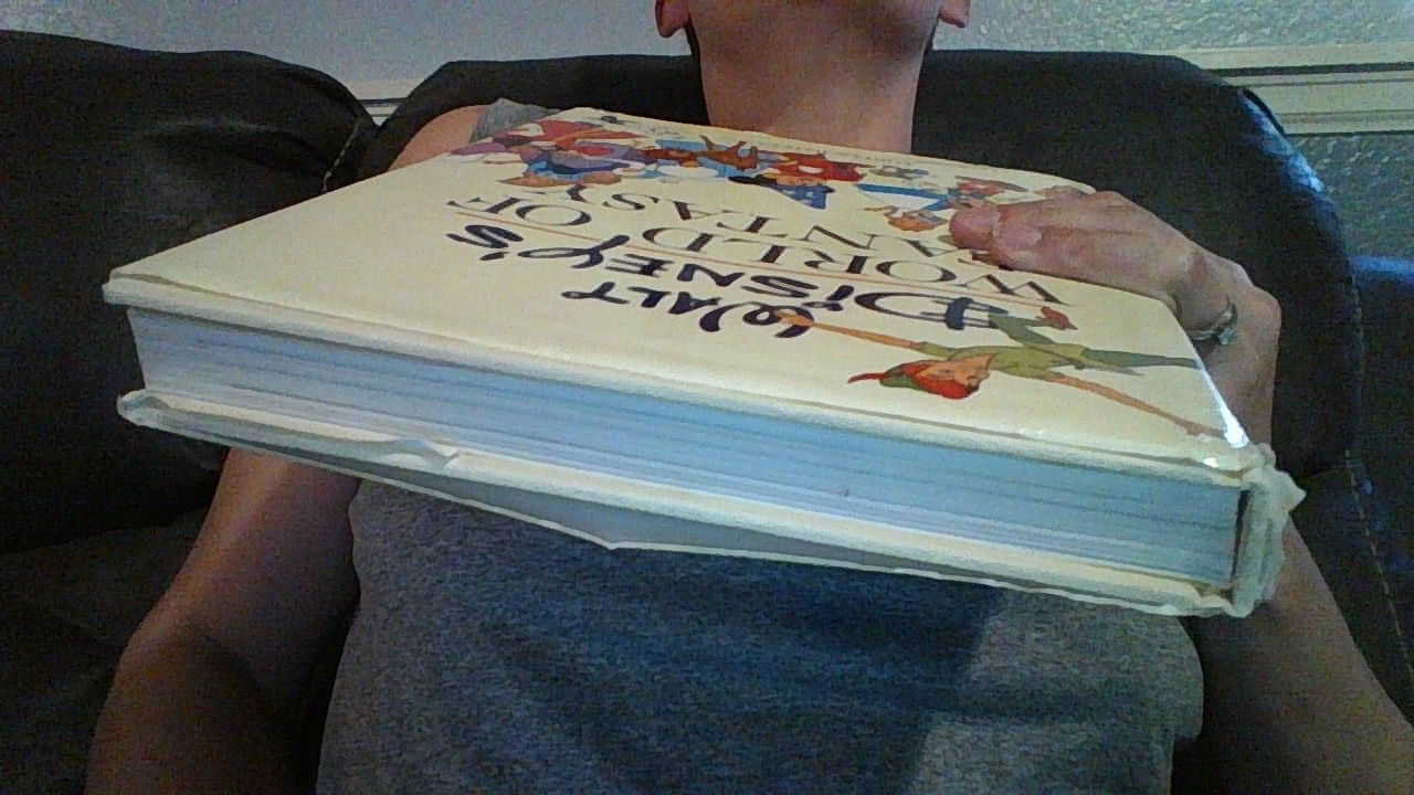 Walt Disney's World of Fantasy by Bailey, Adrian | Hardback | 1982