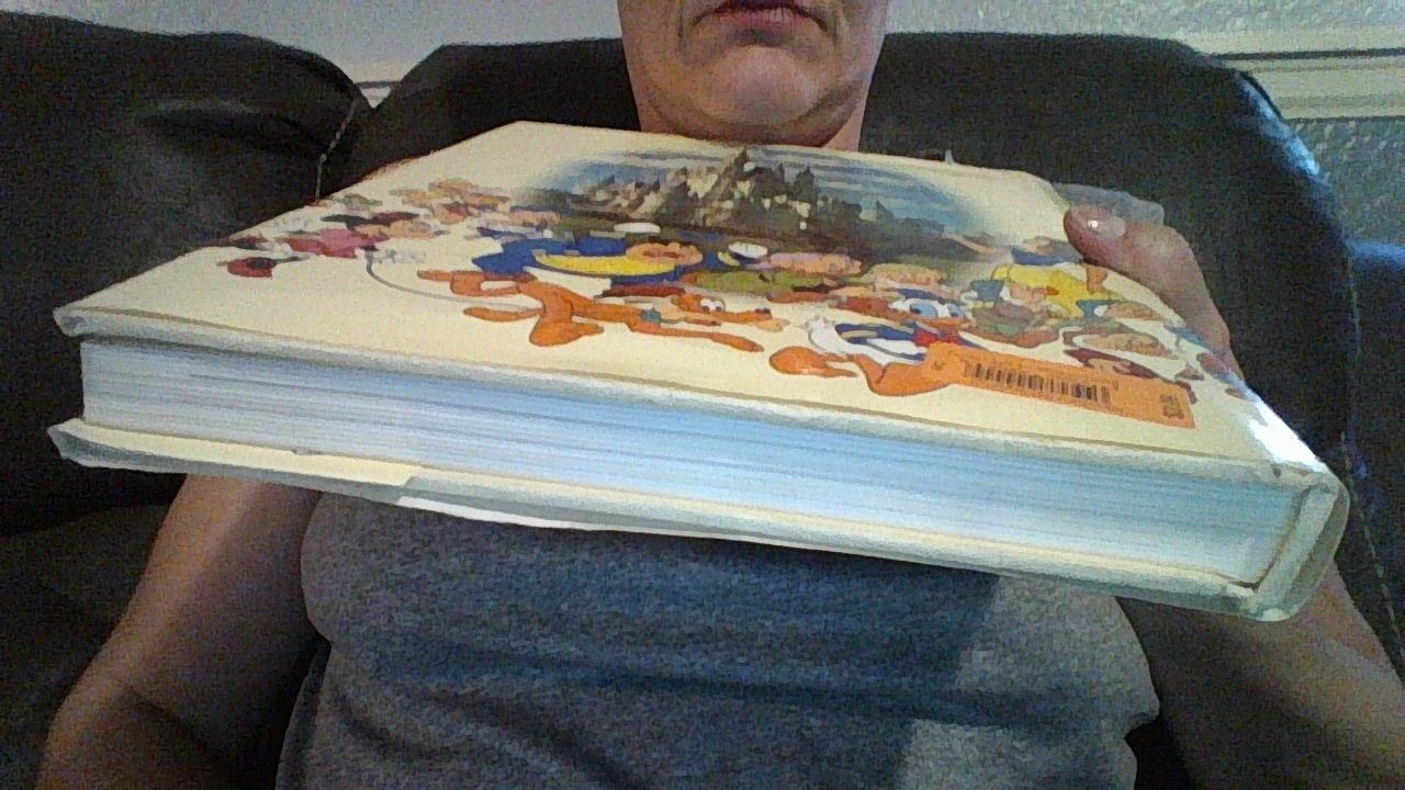 Walt Disney's World of Fantasy by Bailey, Adrian | Hardback | 1982