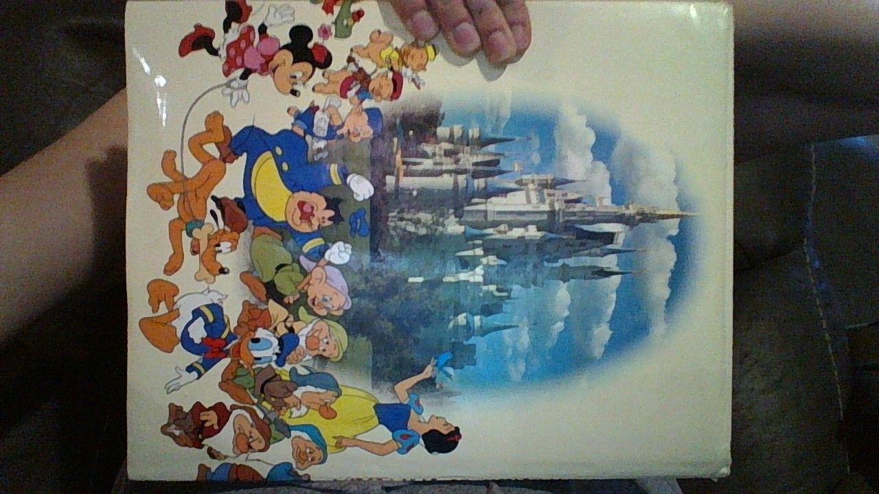 Walt Disney's World of Fantasy by Bailey, Adrian | Hardback | 1982
