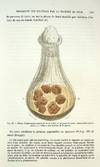 Les Bacteries et lur role dans l'Anatomie et l'Histologie Pathologiques des Maladies Infectieuses [The Bacteria and their role in the Pathologic Anatomy and Histology of Infectious Diseases]