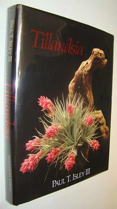 キューハイ様　TillandsiaII by Paul T. Isley III Tillandsia II, by Paul T. Isley III – Rainforest Flora