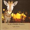NGALA WILDLIFE PRESERVE Naples, Florida