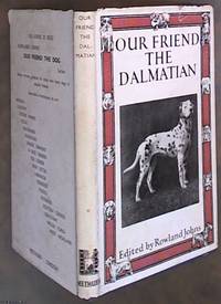 Our friend the Dalmatian