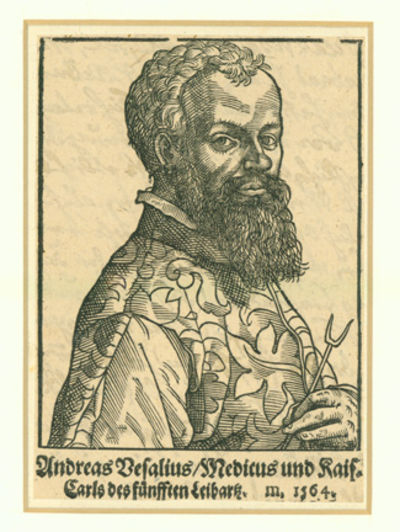 Woodcut portrait of Vesalius attributed to Tobias Stimmer (1539-84). Matted. 13x9. cm