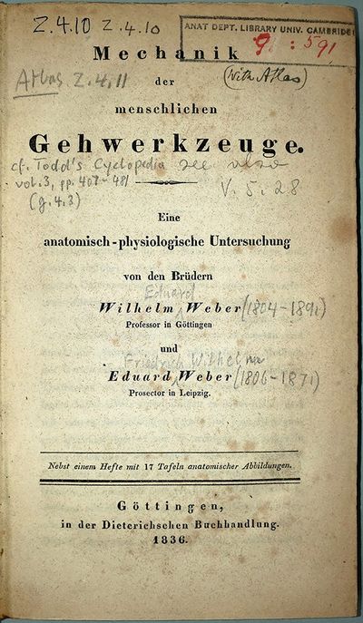 Mechanik der menschlichen Gehwerkzeuge. 2 vols (text and atlas)