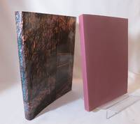 image of At Dusk Iridescent