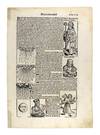 Leaf from Nuremberg Chronicle (aka...; (photo 0)