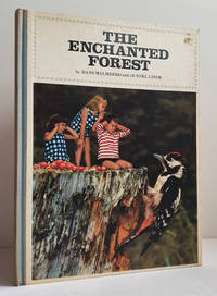 cover of The Enchanted Forest
