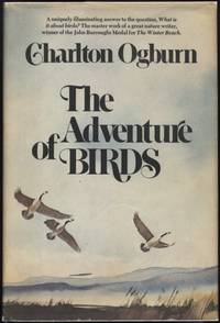 The Adventure of Birds