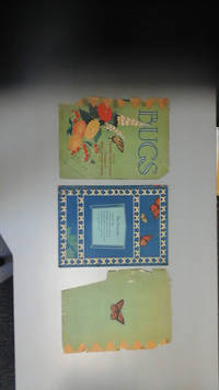 image of Bugs