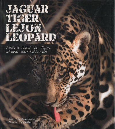 JAGUAR TIGER LEJON LEOPARD. Möten med de fyra…