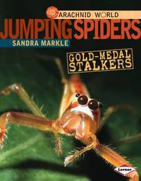 Jumping Spiders : Gold-Medal Stalkers