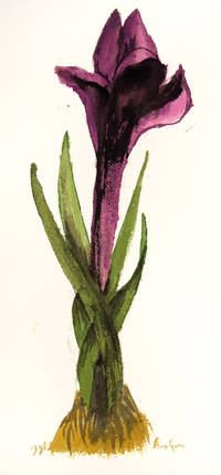 The Gehenna Florilegium