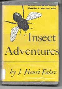 Insect Adventures