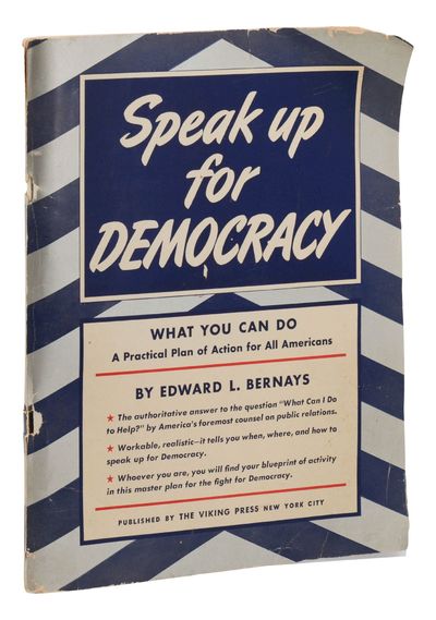 Speak Up for Democracy: What You Can Do -- A Practical Plan of Action for Every American Citizen