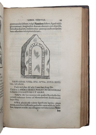Danicorum Monumentorum Libri Sex: E spissis antiquitatum tenebris et in Dania ac Norvegia extantibus ruderibus eruti + Regum Daniae Series duplex et Limitum inter Daniam & Sveciam Descriptio. Ex vetustissimo Legum Scanicarum Literis Runicis in membran... - [THE FOUNDATION OF RUNOLOGY] (photo 5)