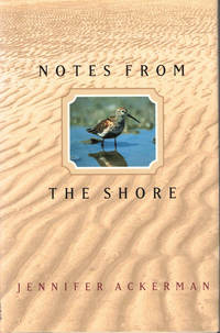 Notes from the Shore