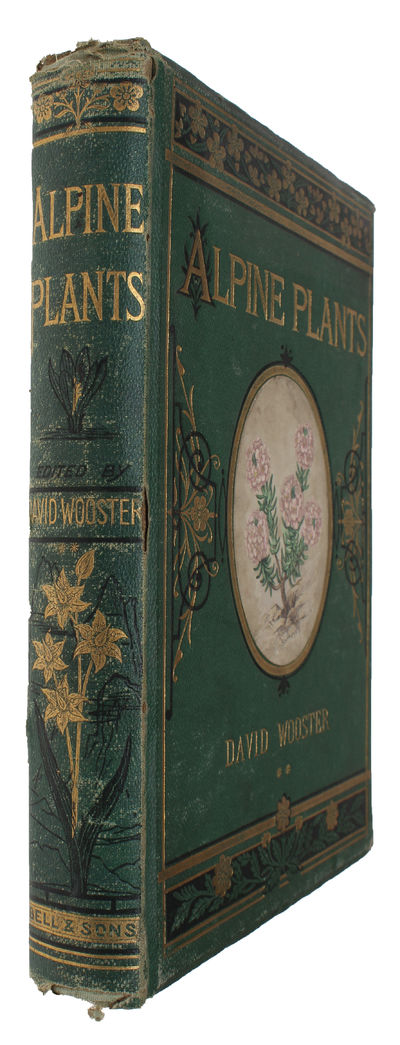 Alpine Plants: Figures and Descriptions of some…