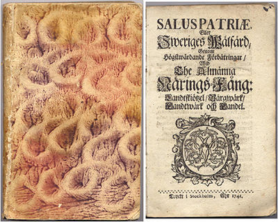 Salus patriæ, eller Sweriges wälfärd, genom…