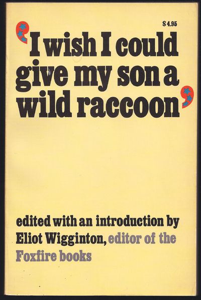 I Wish I Could Give My Son a Wild Raccoon