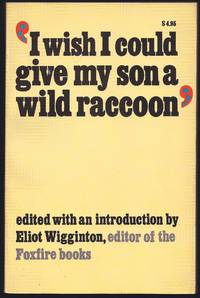 I Wish I Could Give My Son a Wild Raccoon