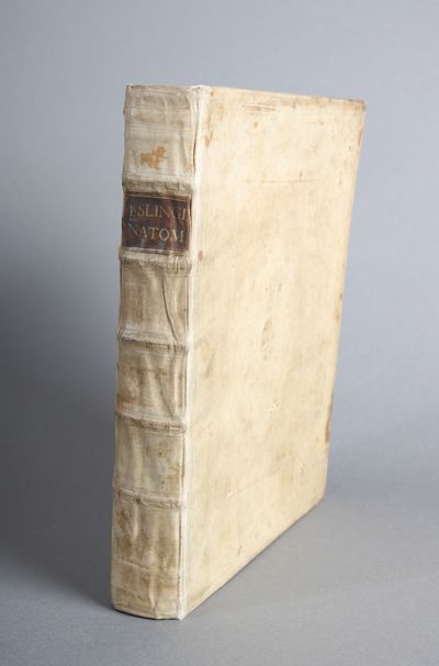 Syntagma anatomicum commentario atque appendice ex veterum, recentiorum, propriisque observationibus illustratum & auctum a Gerardo Leon Blasio. Editio novissima. (photo 2)
