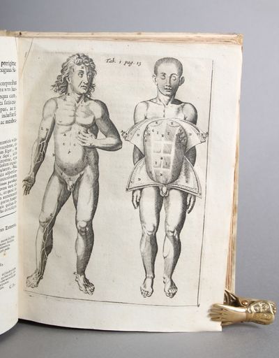 Syntagma anatomicum commentario atque appendice ex veterum, recentiorum, propriisque observationibus illustratum & auctum a Gerardo Leon Blasio. Editio novissima. (photo 3)
