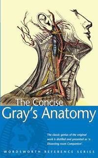 Concise Gray&#039;s Anatomy by H. Gray - 1997