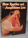 How Reptiles And Amphibians Live