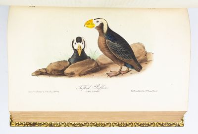 THE BIRDS OF AMERICA, FROM DRAWINGS MADE IN THE UNITED STATES AND THEIR TERRITORIES