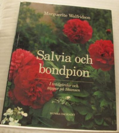 Salvia och bondpion. I trädgårdar och täppor på…