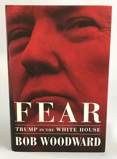 Fear. Trump in the White House.