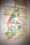 View Image 2 of 4 for Commission On Building Districts and Restrictions; Final Report - June 2, 1916 Inventory #17108