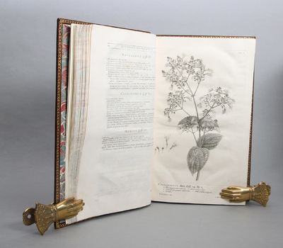 Hortus Cliffortianus Plantas exhibens quas in Hortis tam Vivis quam Siccis, Hartecampi in Hollandia, coluit vir nobilissimus & generossimus Georgius Clifford juris utriusque doctor, Reductis varietatibus ad Species, Speciebus ad Genera, Generibus ad Classes, Adjectis Locis Plantarum natalibus Differentiisque Specierum. Cum tabulis æneis... (photo 3)