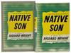 Native Son (The First Edition Library)