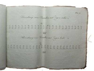 Exercier-Reglement für die kaiserlich-königliche Infanterie. + Vier und siebenzig Pläne zum k.k. Infanterie= Excercier = Reglement. 2 Bde. (Text + Tafelband). (photo 8)