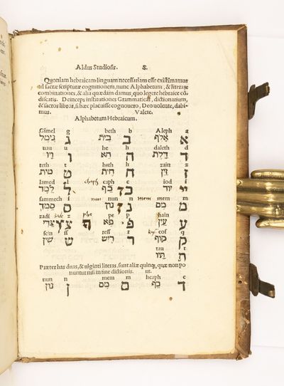 [&aacute;&frac14;�&Iuml;�&Iuml;�&Iuml;�&Icirc;&reg;&Icirc;&frac14;&Icirc;&plusmn;&Iuml;�&Icirc;&plusmn; (Grammatica...; (photo 4)