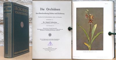 Die Orchideen. Ihre Beschreibung, Kultur und…