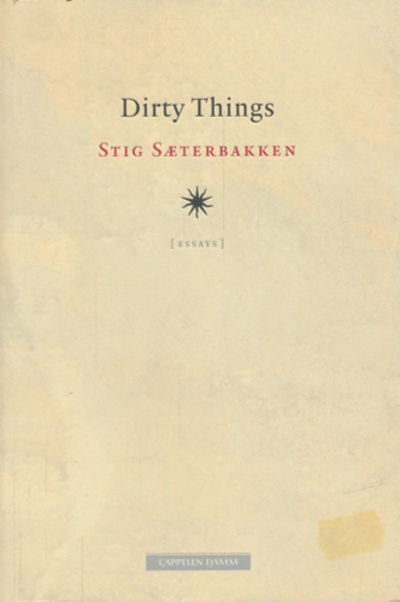 Dirty Things. Essays.