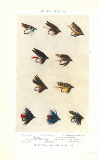 Sea-trout fishing. Illustrated.