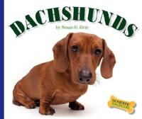 Dachshunds (Domestic Dogs, 1269)