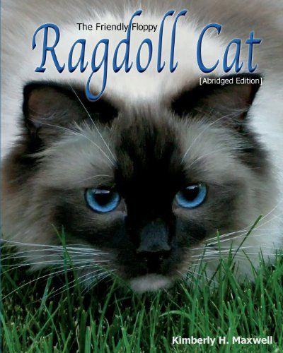 Preloved ragdoll cheap