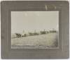 Sowing Wheat Near Hartline Wash. by G.M. Stapish [caption title]