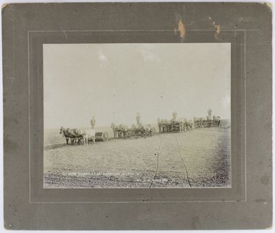 Sowing Wheat Near Hartline Wash. by G.M. Stapish [caption title]