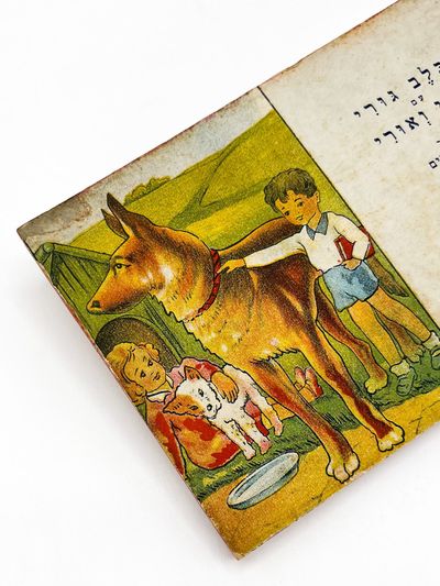 [THE PUPPY WITH RUTH AND URI]
