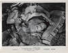The Ride Back (Eight original photographs from the 1957 film)
