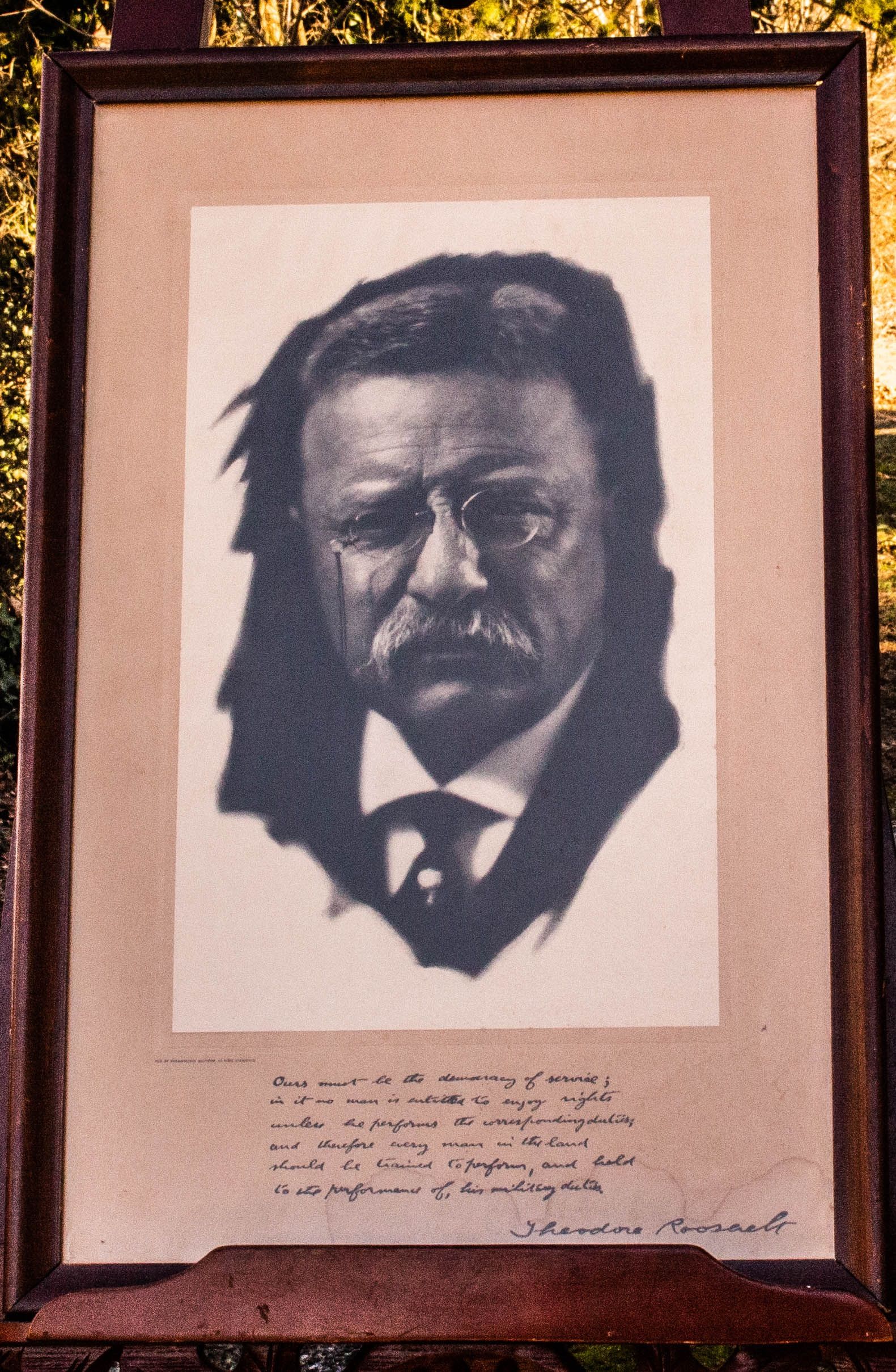 Theodore Roosevelt Framed Picture1915 Signed With Lengthy Inscription  Framed by Pirie MacDonald 1867-1942 | 1915 | Metropolitan Magazine | Biblio, image size:1581x2420